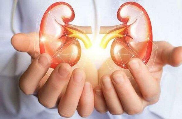 شایع ترین نشانه های سرطان کلیه را بشناسید شایع ترین نشانه های سرطان کلیه را بشناسید