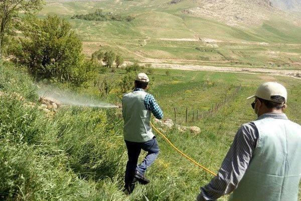 مبارزه با ملخ صحرایی در شهرستان سرباز مبارزه با ملخ صحرایی در شهرستان سرباز
