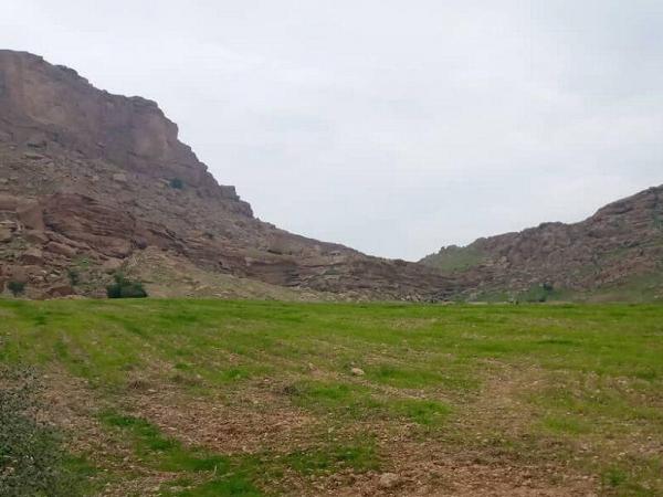 خبرنگاران هفت هکتار از اراضی ملی گتوند خلع ید شد خبرنگاران هفت هکتار از اراضی ملی گتوند خلع ید شد