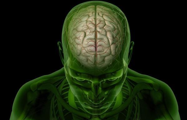 11 حقیقت شگفت انگیز درباره مغز 11 حقیقت شگفت انگیز درباره مغز