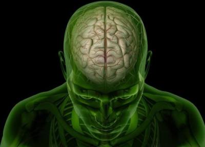 11 حقیقت شگفت انگیز درباره مغز