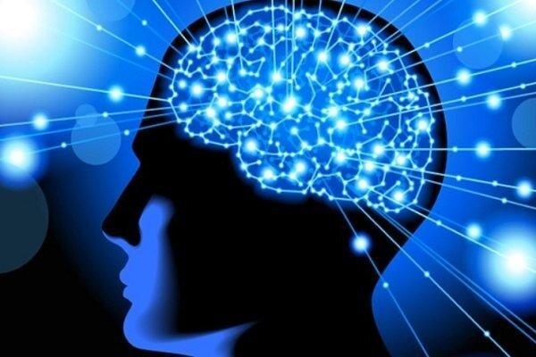 انعقاد تفاهم نامه بین ستاد علوم شناختی و یک صندوق پژوهش انعقاد تفاهم نامه بین ستاد علوم شناختی و یک صندوق پژوهش و فناوری