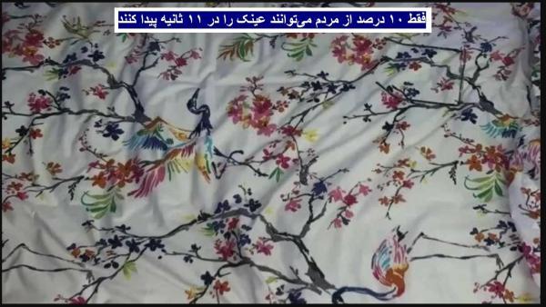 معمای توهم نوری: تنها 10 درصد از مردم می توانند عینک را در معمای توهم نوری: تنها 10 درصد از مردم می توانند عینک را در 11 ثانیه پیدا نمایند