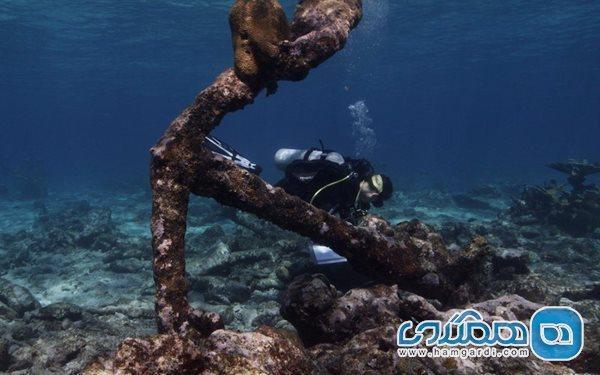 شش راز از زیر آب های پارک های ملی آمریکا شش راز از زیر آب های پارک های ملی آمریکا