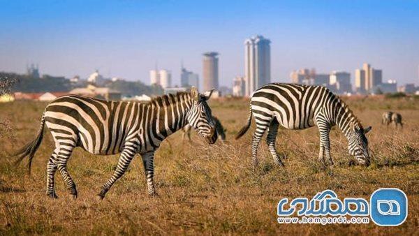 رقابت جالب پایتخت کنیا با کلان شهرهای بزرگ دنیا رقابت جالب مرکز کنیا با کلان شهرهای بزرگ جهان